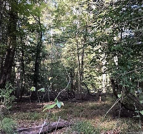 3rd image of Tbd Cr 2932