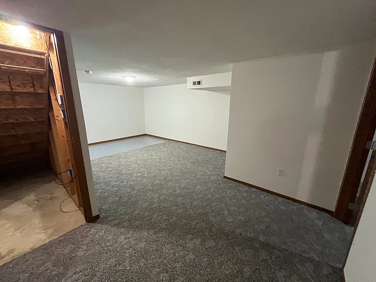 finished lower level with under stairs storage