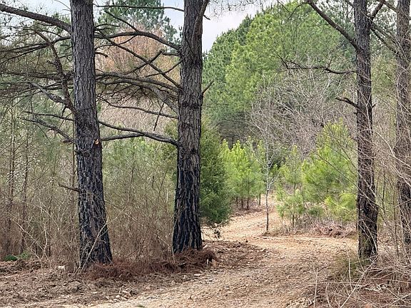 3rd image of 0 Waldrop Rd