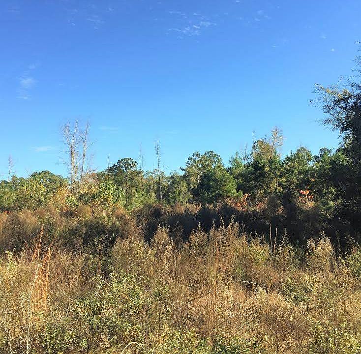 7 Wakulla Arran Rd, Crawfordville, FL 32327 Zillow