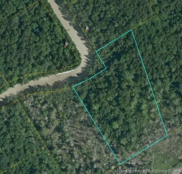 1st image of David Rd