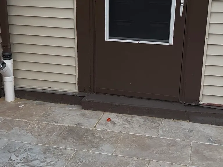 9913 Forest View Pl — Photo 19