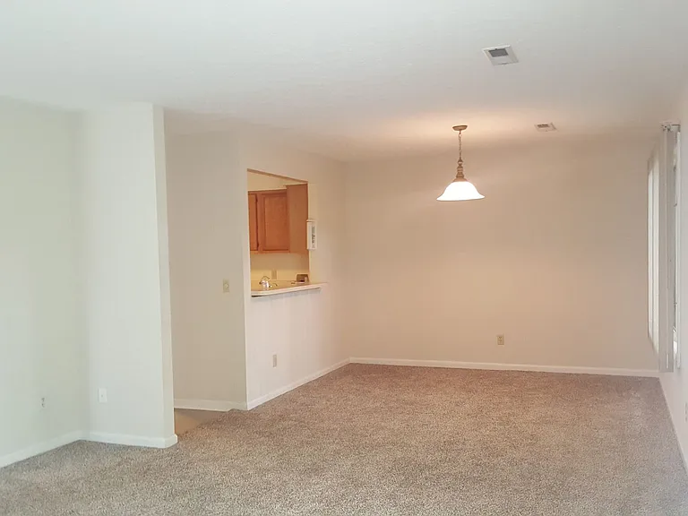113 Silverleaf Ln — Photo 7