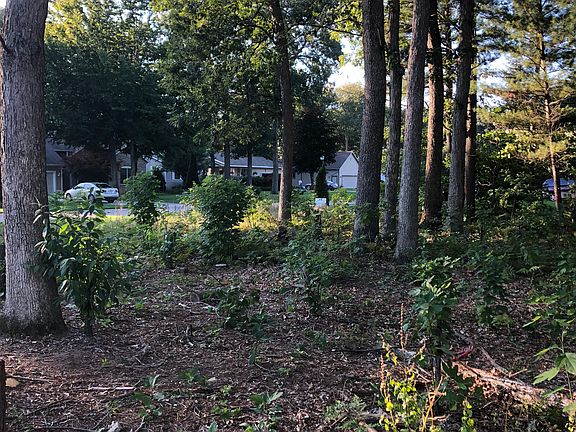 2nd image of 1096 Willshire Dr