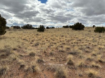 7565 Cedar Ln, Snowflake, AZ, 85937