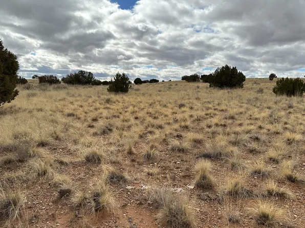 7565 Cedar Ln, Snowflake, AZ 85937