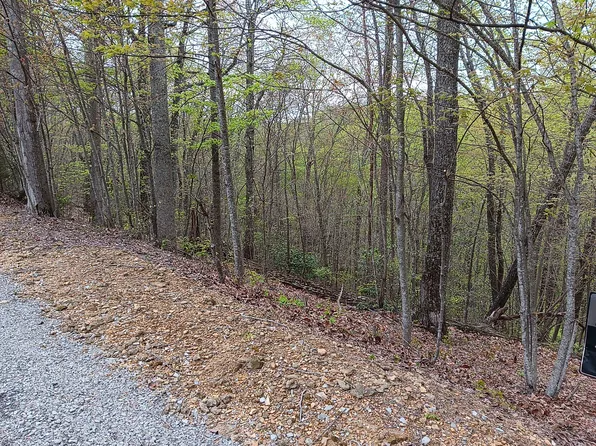 273 Tennis Center Dr, Smithville, TN 37166