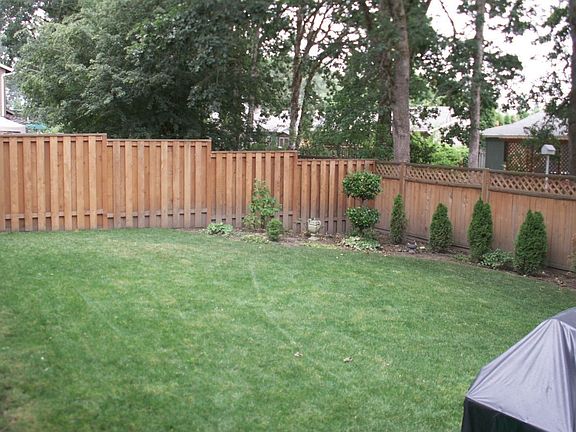Large Backyard
