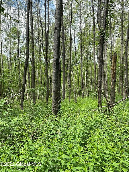 4th image of Lot 17 Guilder Hollow Road