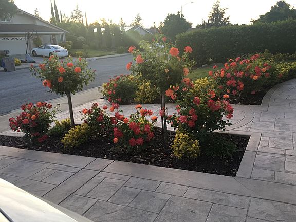 2nd image of 6976 Grandwood Way