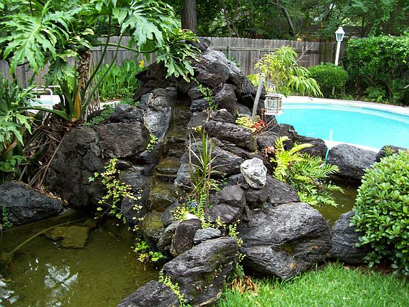 ponds and pool 