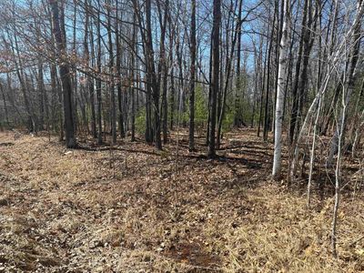 Pineway Dr, Gladwin, MI, 48624