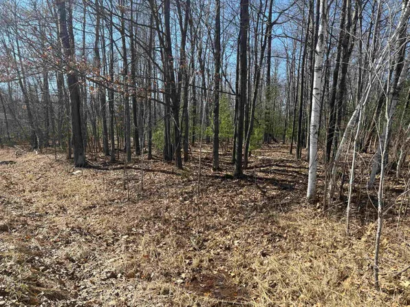 Pineway Dr, Gladwin, MI 48624