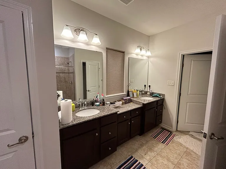 Master Bathroom Sink