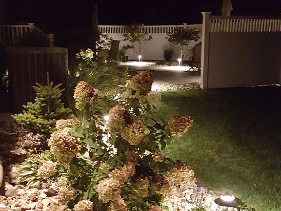 Beautifully lit at night.