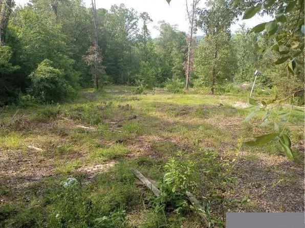 765 Private Road 4322, Hallsville, TX 75650