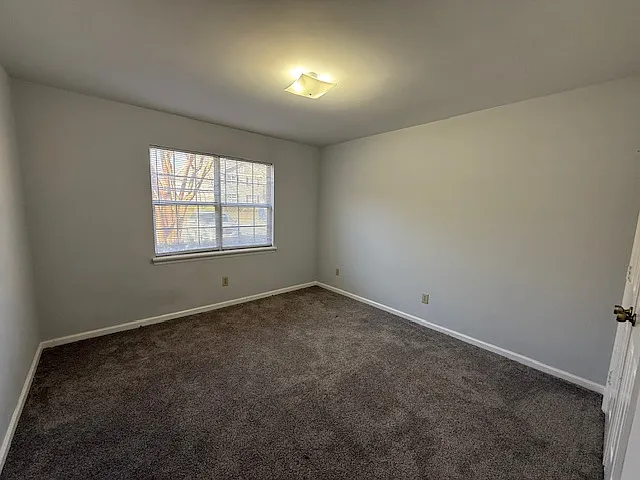 729 Shelby Dr #B — Photo 19