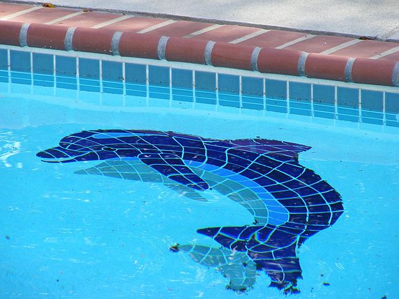 Pool mosacis