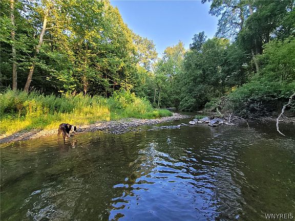 2nd image of 6671 Olean Rd