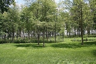 4th image of 3473 S County Road 1000 W