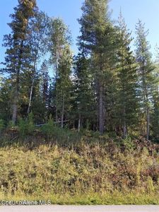 111 Trail Blazer Ct, Pinehurst, ID, 83850