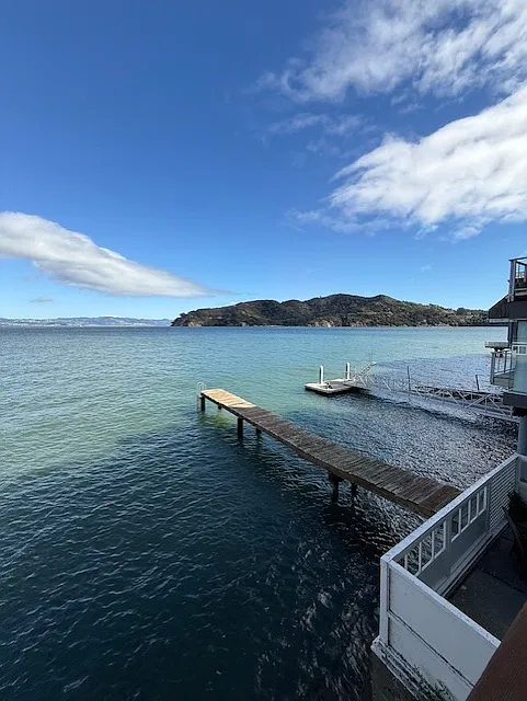 View of Lyford Cove and Angel Island, East Bay in distance