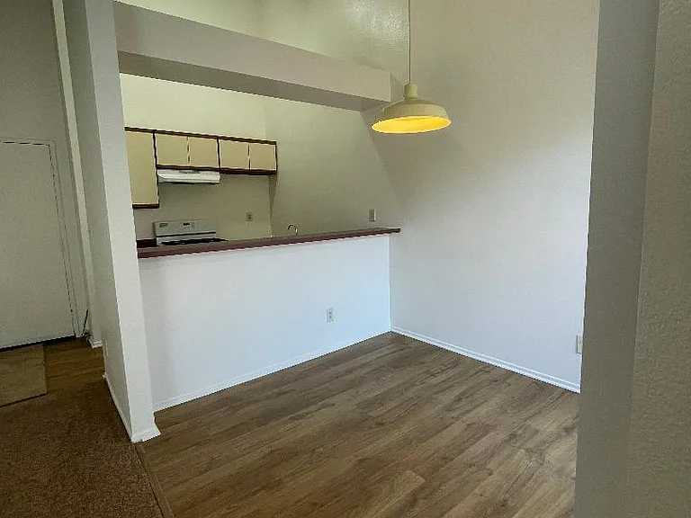 849 Padilla St — Photo 5