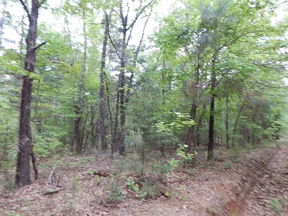 4th image of LOT 39 Winterberry Rd