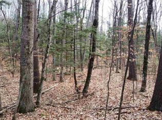 10424 Kay Ray Rd, Williamsburg, MI 49690