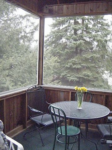 Large enclosed porch with catherdal ceilings