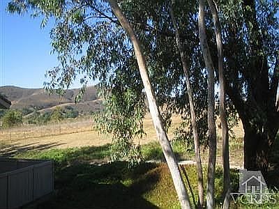 Beautiful Mt. View