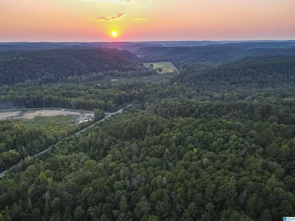 1 Highway 18 #1, Oakman, AL 35579