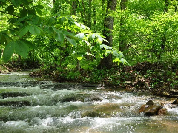 0 Two Brothers Rd, Lindside, WV 24951