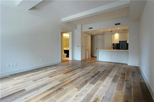 Rented by Platinvm Property Group New York | media 14