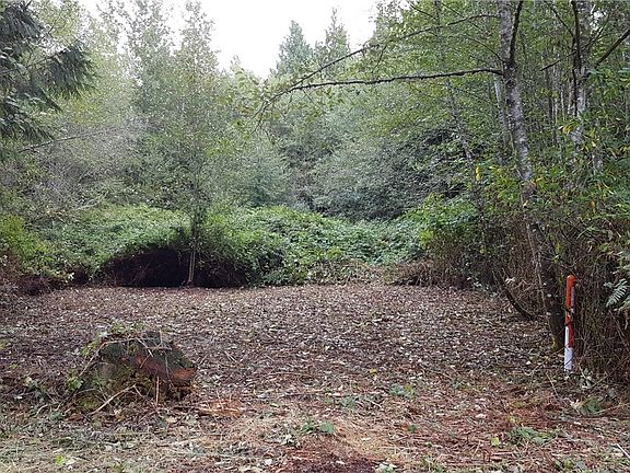2nd image of 3999 ??? Old Highway 99 N