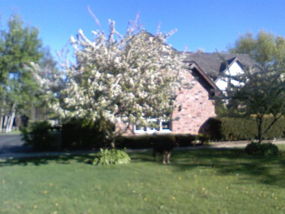 5th image of 26485 N Countryside Lake Dr