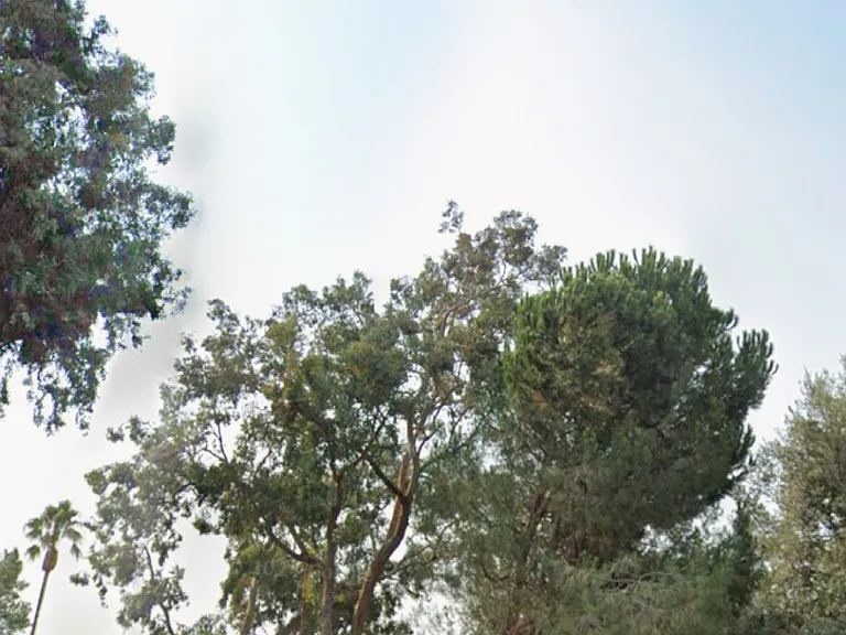 89 Fountainhead Ct — Photo 11