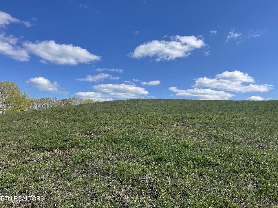 2nd image of 2 Laura Boling Loop Rd Lot 2