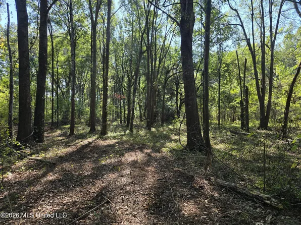 Highway 82 W, Greenville, MS 38701