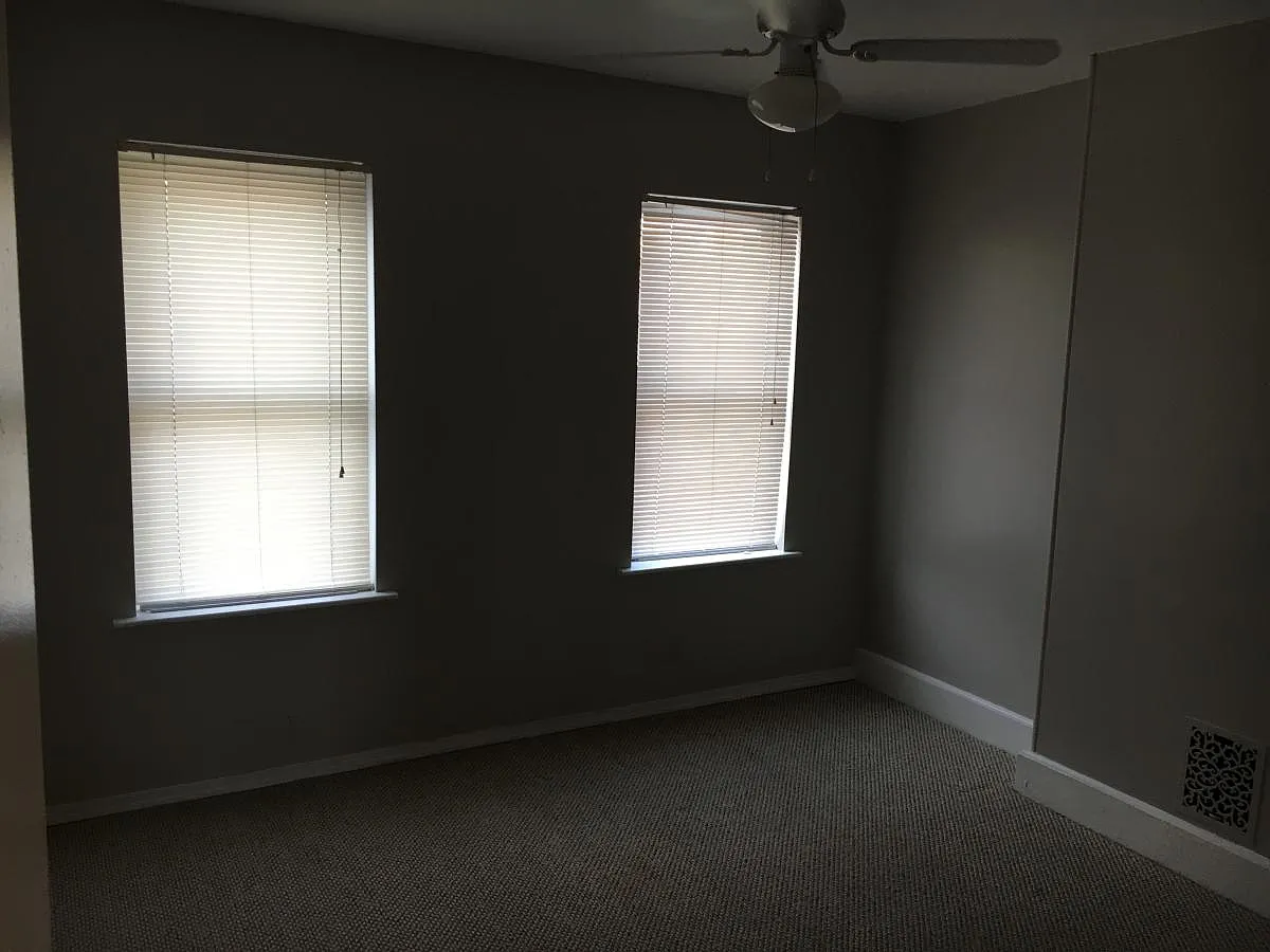 215 Carson Street — Photo 4