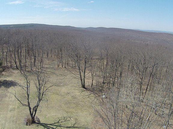 Front Yard and Beyond