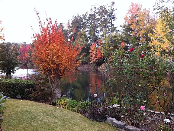 Fall on the pond