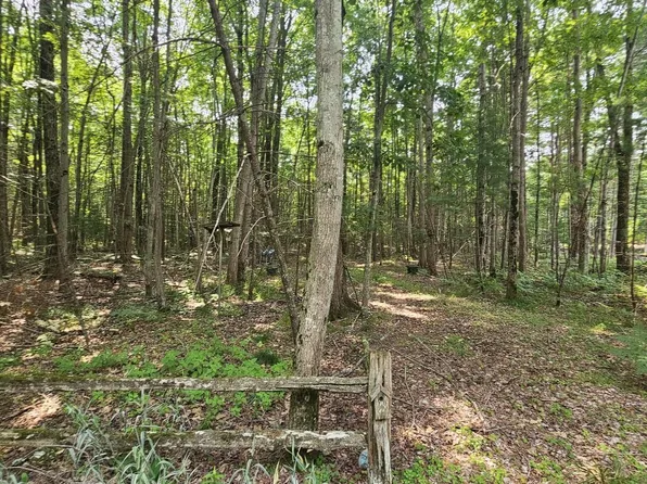 LOT 12 W River Dr, Gladwin, MI 48624