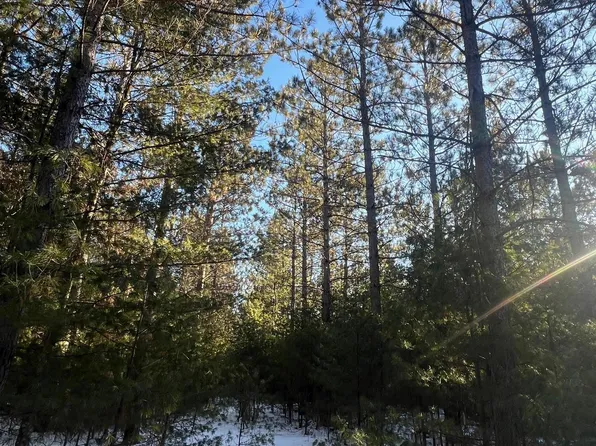 X Black Brook Rd, Webster, WI 54893