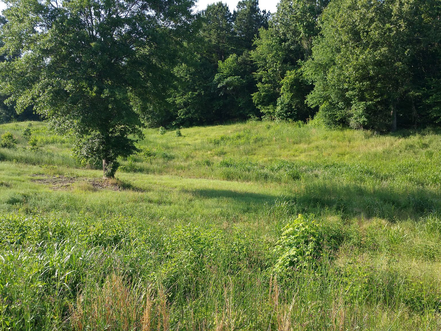 410 Abigail Ln, Bentonia, MS 39040 Zillow