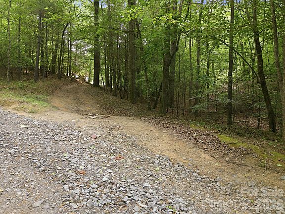 4th image of 2411 Hundred Acre Ln