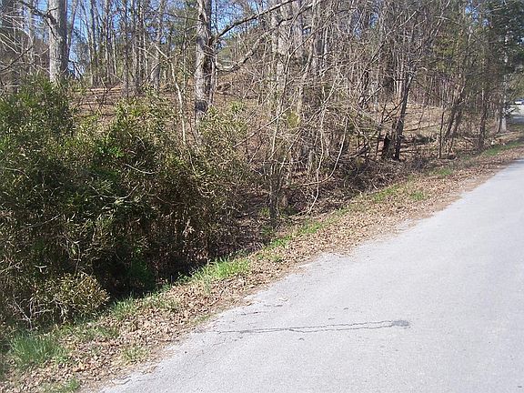 4th image of 15 Romines Ln Lot 15