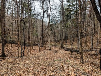 Yates Rd #0, Shawsville, VA, 24162