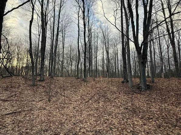 1208 S Ridge Ct, Traverse City, MI 49696