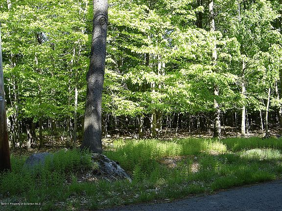 3rd image of 43 Cayuga Dr
